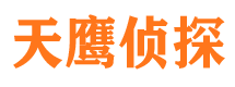 陆丰找人公司